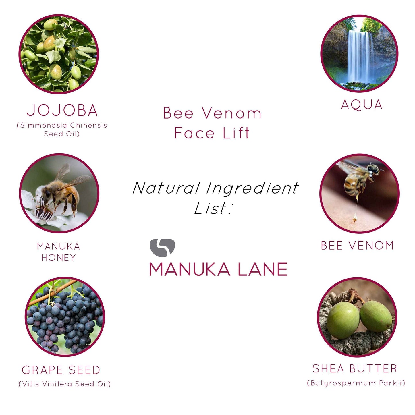 Natural Bee Venom Face Lift Treatment Cream with Active Manuka Honey, Shea, Cocoa Butter, and Jojoba – Nature’s Most Powerful Solution!