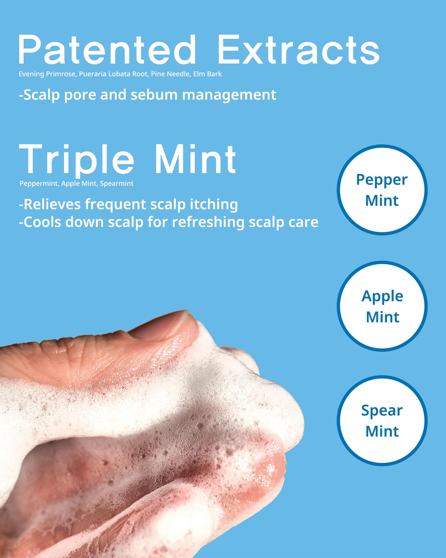 FIT YOUR SKIN SAN TTEUT Cooling Shampoo – Triple Mint Scalp Treatment for Oily, Itchy Scalp | pH 5.5 Clarifying with Milk Protein | Mint & White Musk Perfumed | Paraben Sulfate Free | 17 fl oz