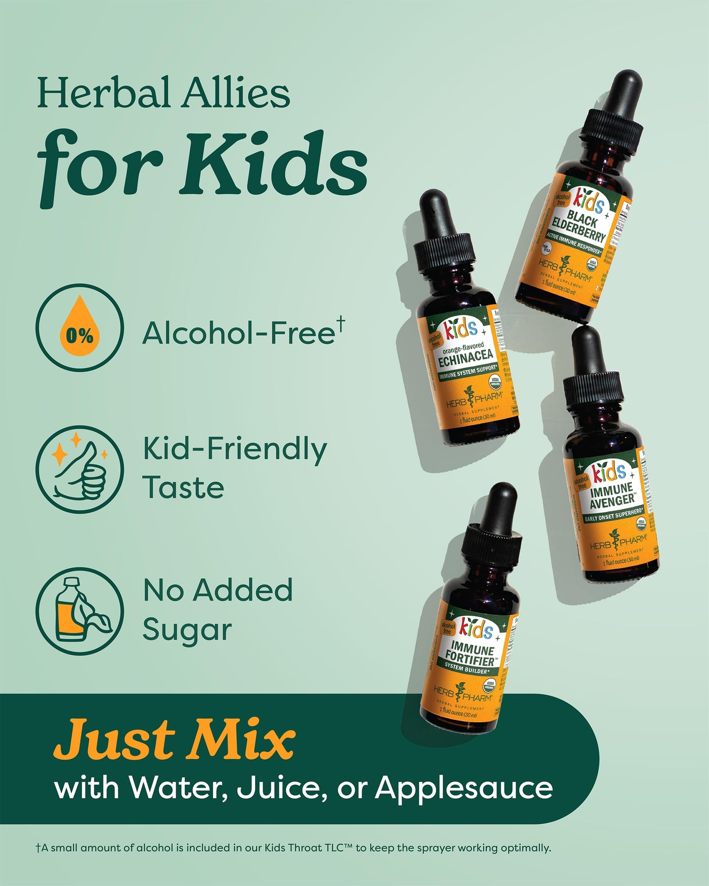 Herb Pharm Kids Cough Crusader – Certified Organic Alcohol-Free Herbal Liquid Formula for Kids, Immune & Throat Comfort Support, 1 fl oz