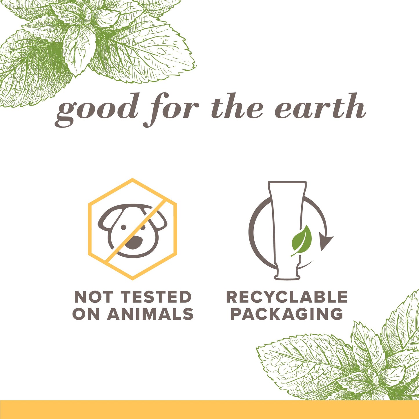 Burt's Bees, Toothpaste Fluoride Free Purely White Zen oz, Peppermint, 4.7 Ounce