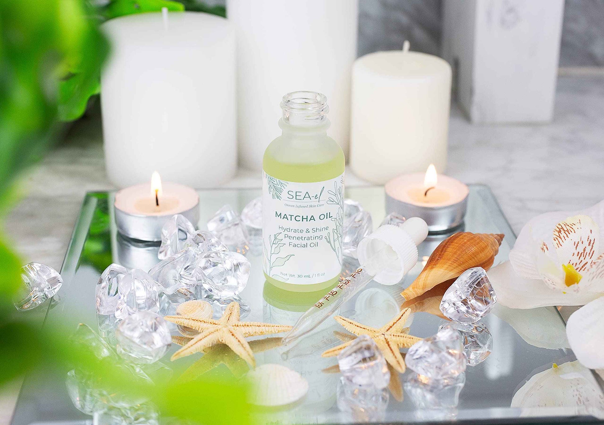 Sea-El Matcha Face Oil Skincare - Hydrating Glow Green Tea & Sea Kelp Facial Oil Blend - Calming & Deeply Penetrating Antioxidant-Rich Moisturizer for Women & Men, Vegan, All Skin Types - 1 Fl Oz