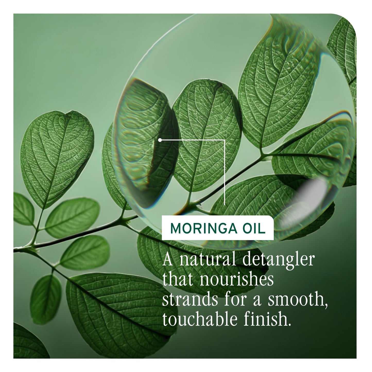 Biolage All-In-One Multi-Benefit Styling Oil - Detangles, Nourishes & Smoothes, For All Hair Types, With Moringa Oil, Vegan, 3.4 Fl Oz
