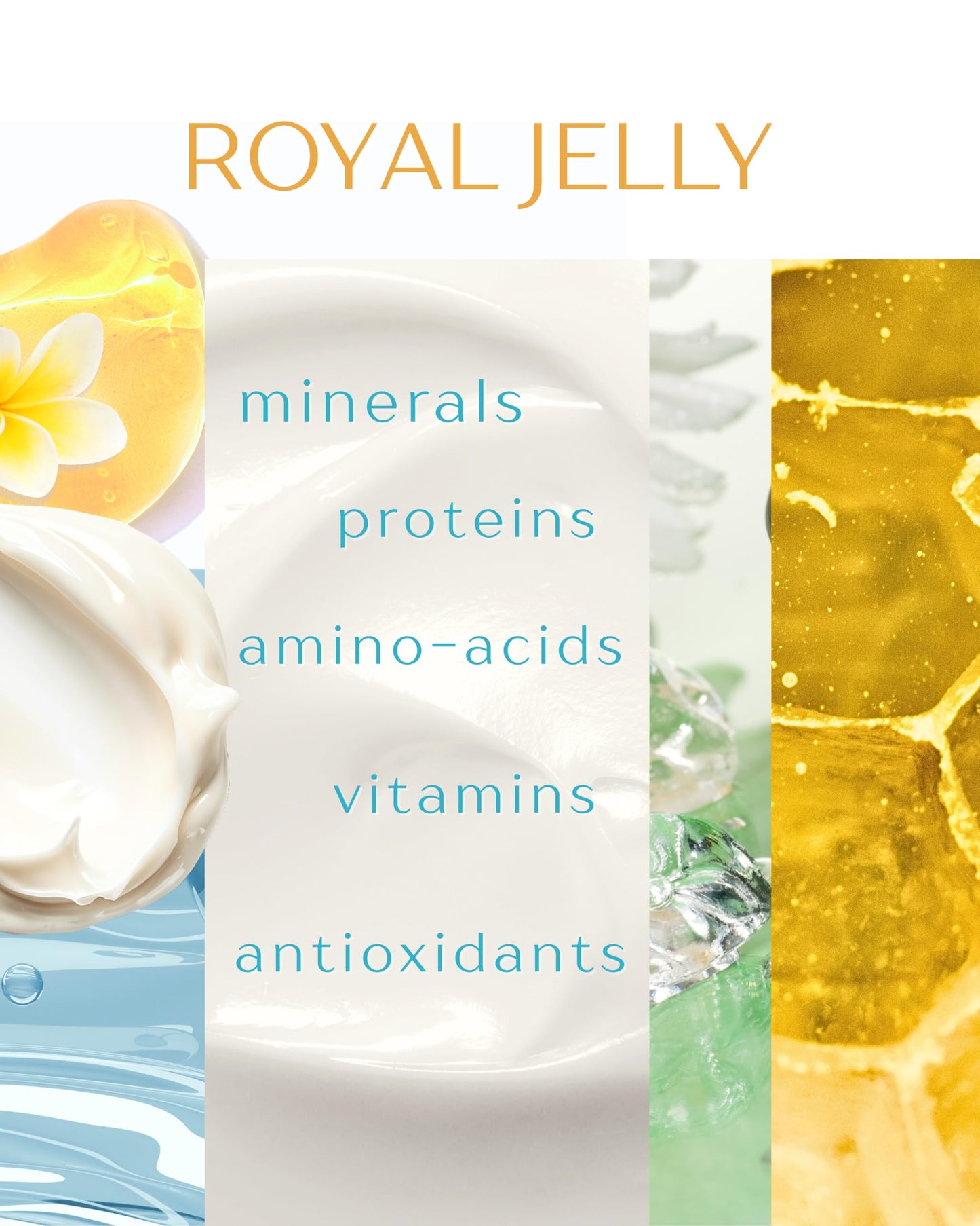 Fleur De Lis Naturals Face Cream Anti Aging Royal Jelly - Natural & Organic Ingredients, Face Moisturizer for Dry Skin, Anti Aging Cream for Face, Anti Wrinkle Cream for Women & Men – 1.7 oz