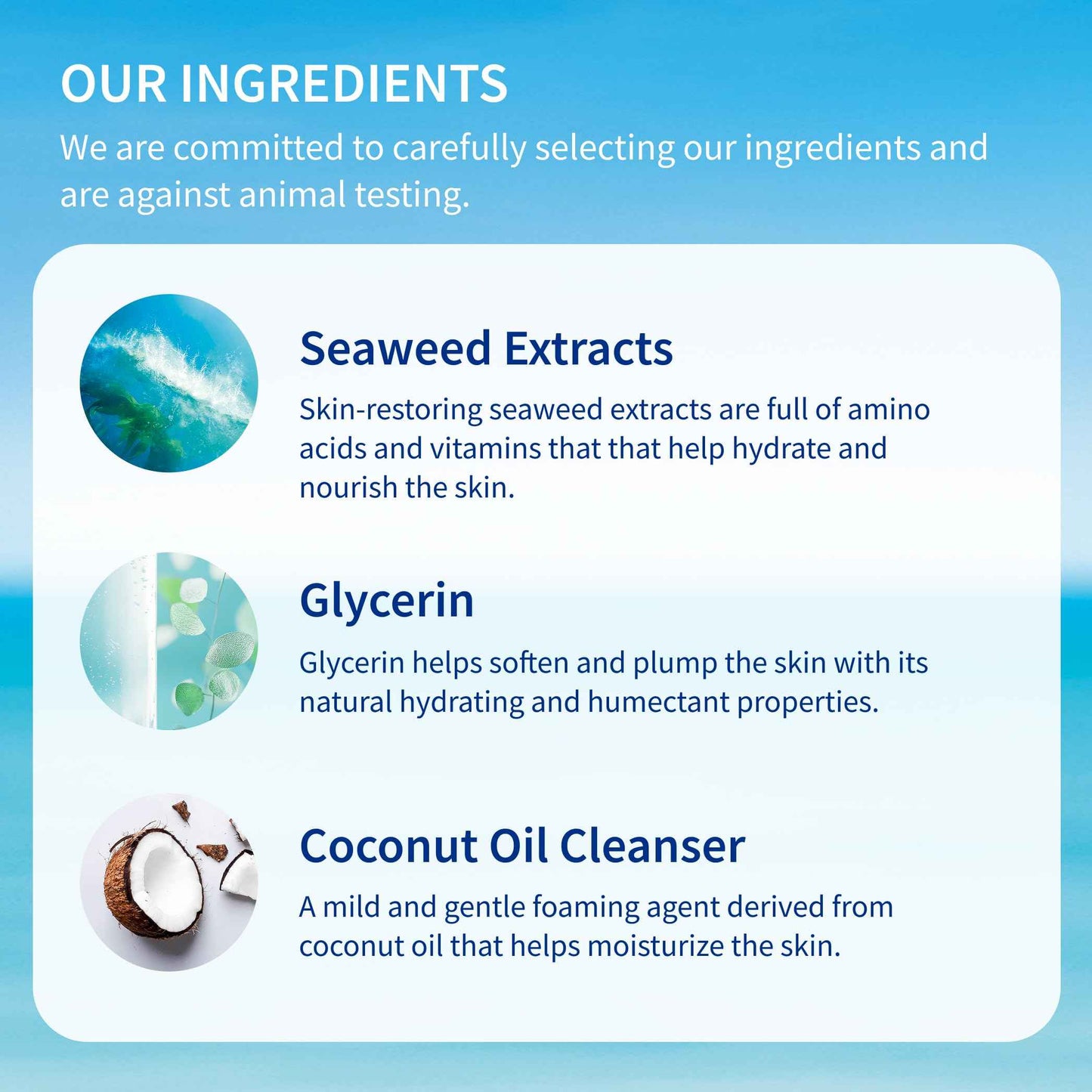 Inis the Energy of the Sea Refreshing Bath and Shower Gel - Sulfate Free Body Wash for Women and Men - Ocean Fresh Fragrance - 7 Fluid Ounce