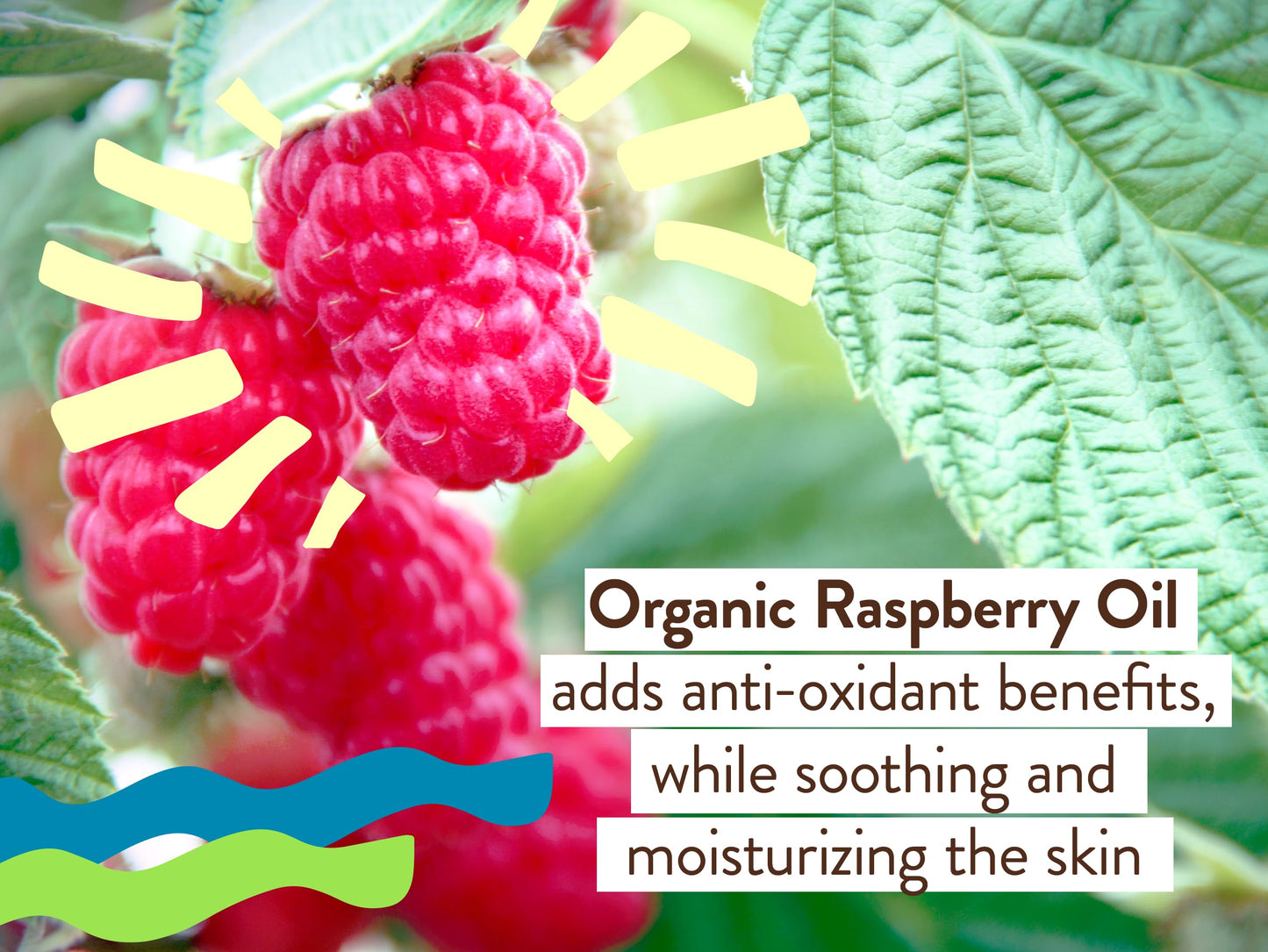 Babo Botanicals Daily Sheer Mineral for Face Sunscreen Lotion SPF40 - Natural Origin Zinc Oxide & Titanium Dioxide - 70% Organic Ingredients - Raspberry Oil & Aloe Vera - Fragrance Free - For all ages