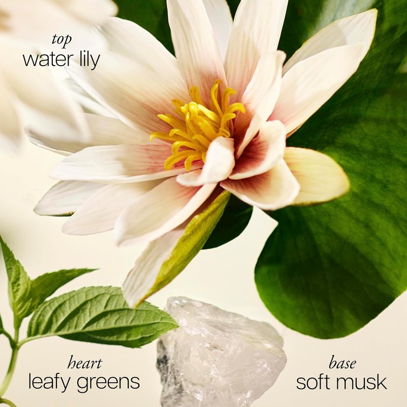 Pure Grace Women's Perfume - Crisp & Clean Fragrance with Water Lily, Leafy Greens & Musk | Long-Lasting Scent