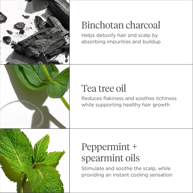 Briogeo Scalp Revival Charcoal & Tea Tree Scalp Mask - Detoxifying Hydration Treatment for Dry, Flaky Scalp | 6 oz