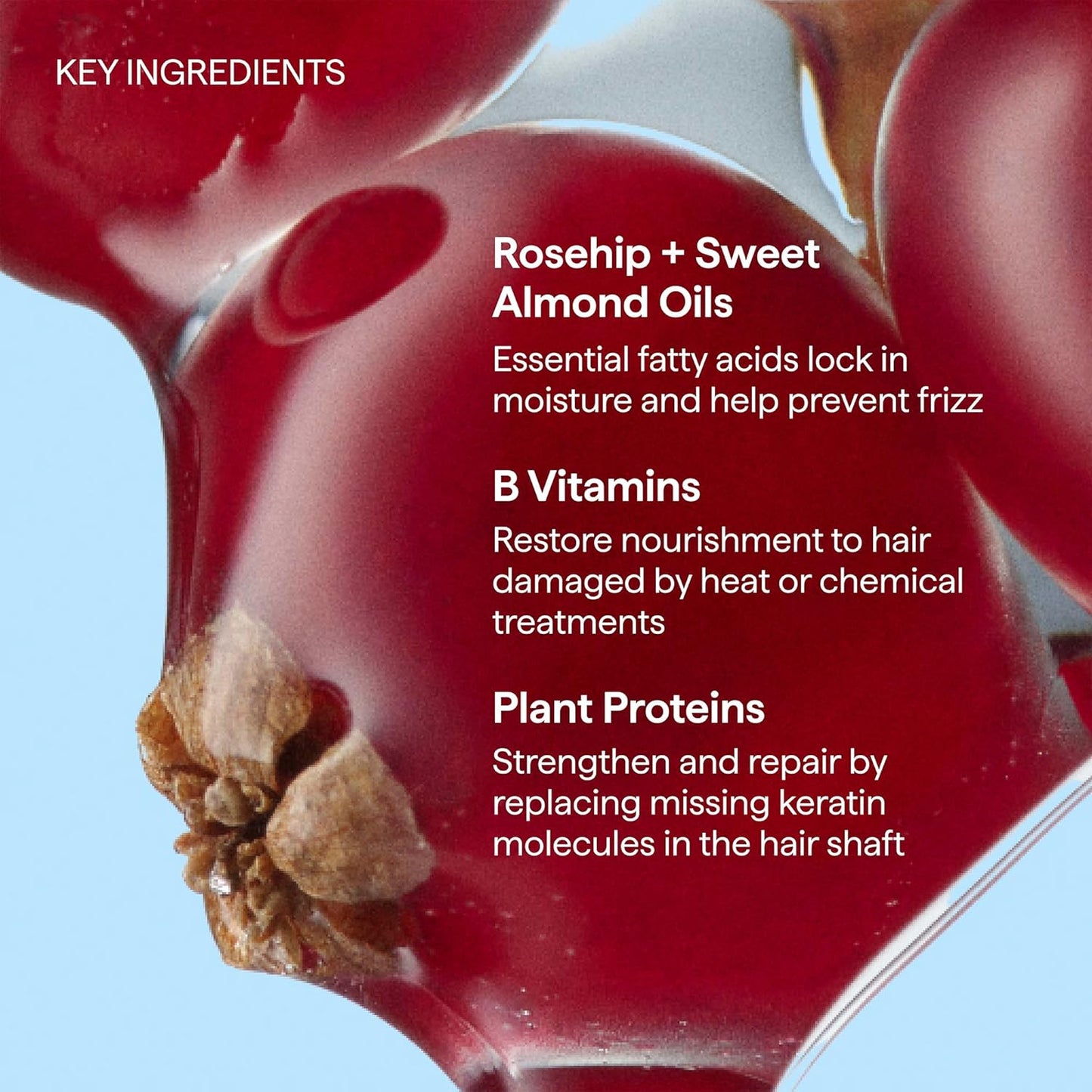 Briogeo Don't Despair, Repair! Moisturizing Protein Conditioner - Argan Oil for Dry, Damaged Hair | Vegan & Silicone-Free