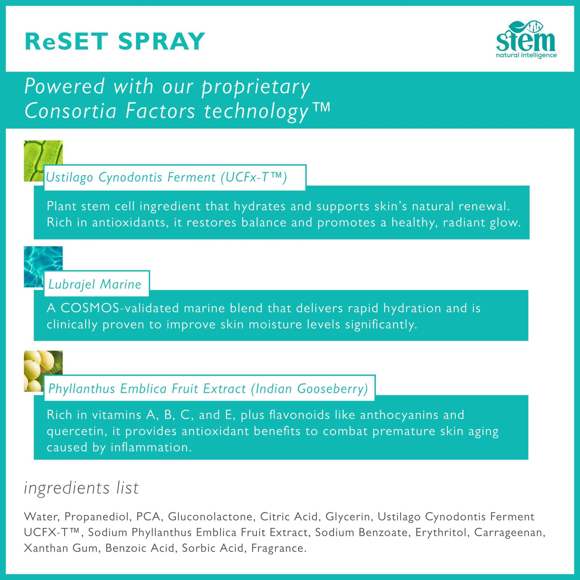 STEM Natural Intelligence ReSet Moisturizing Facial Spray, Setting Spray for Makeup, Makeup Setting Spray for Luxury Skin Care, Face Moisturizer for Women, Finishing Spray for Makeup, 1 oz