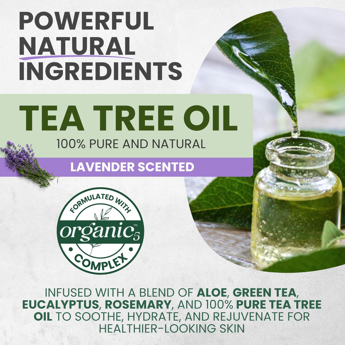 KESMEDIK Tea Tree Lavender Body Wash MaxTherapy, Itchy Skin Relief, Antifungal Defense, Fights Body Odor, Soothes Jock Itch & Athlete's Foot, Intimate Wash, Men & Women, 16 fl oz, Limited Edition