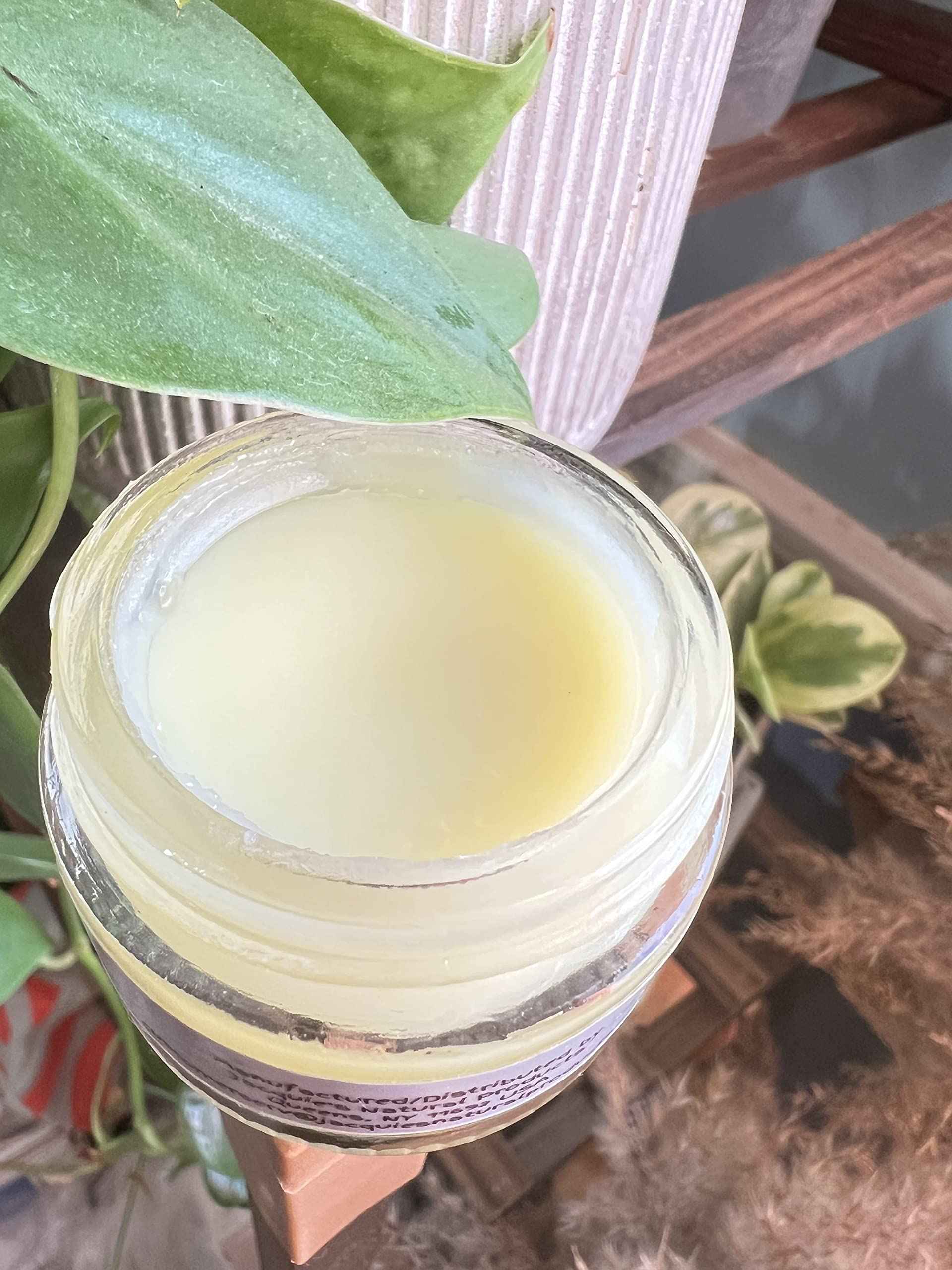 Jacquie's Natural Products Dandelion and Monoi Balm Ointment 1oz, Tattoo, Face Cream, Razor Cream, After Hair Removal Cream, After Sun Ointment, Sensitive Skin Cream Herbal Plant-based ointment