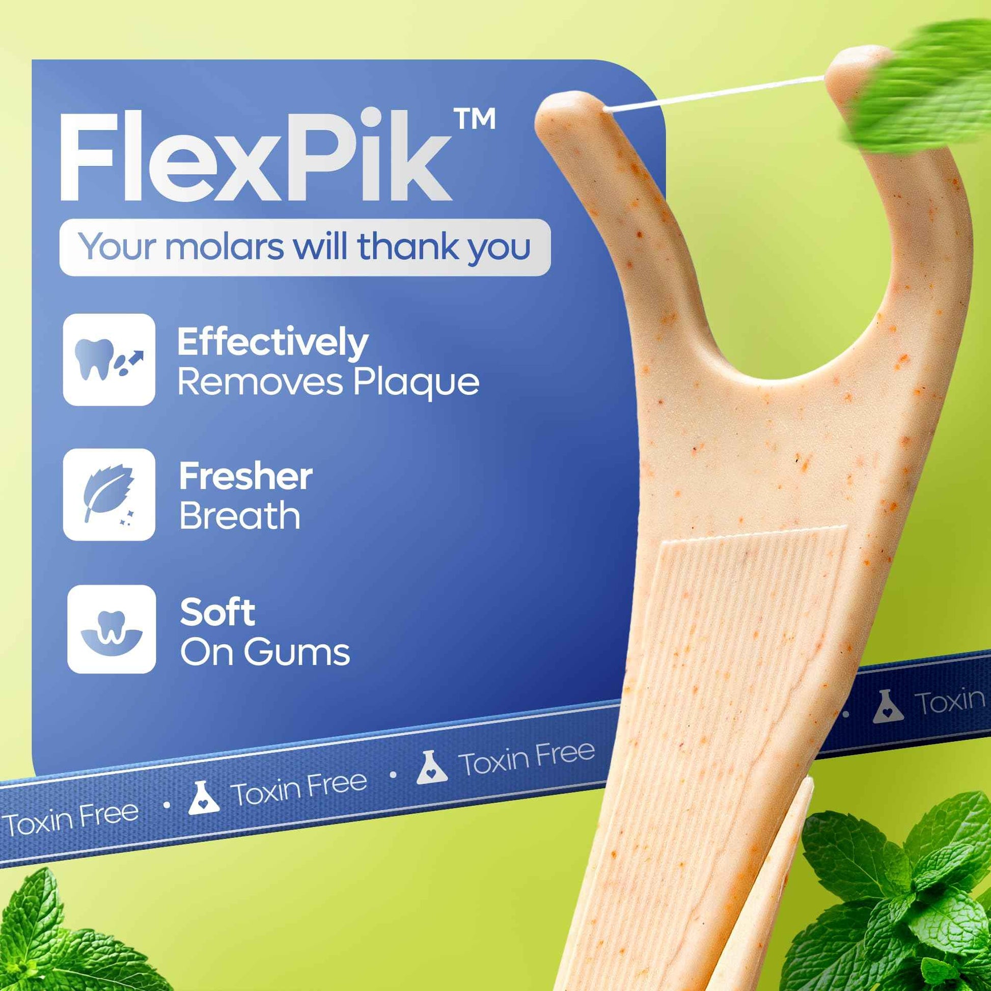 SmartLifeco Eco-Friendly Angled Dental Floss Picks (200ct) - Made with Straw Wheat Blend, Superior Anti-Shred Thread for Molars & Back Teeth, Tooth Pick Stick for Adults, Soft on Gums, Vegan, Mint