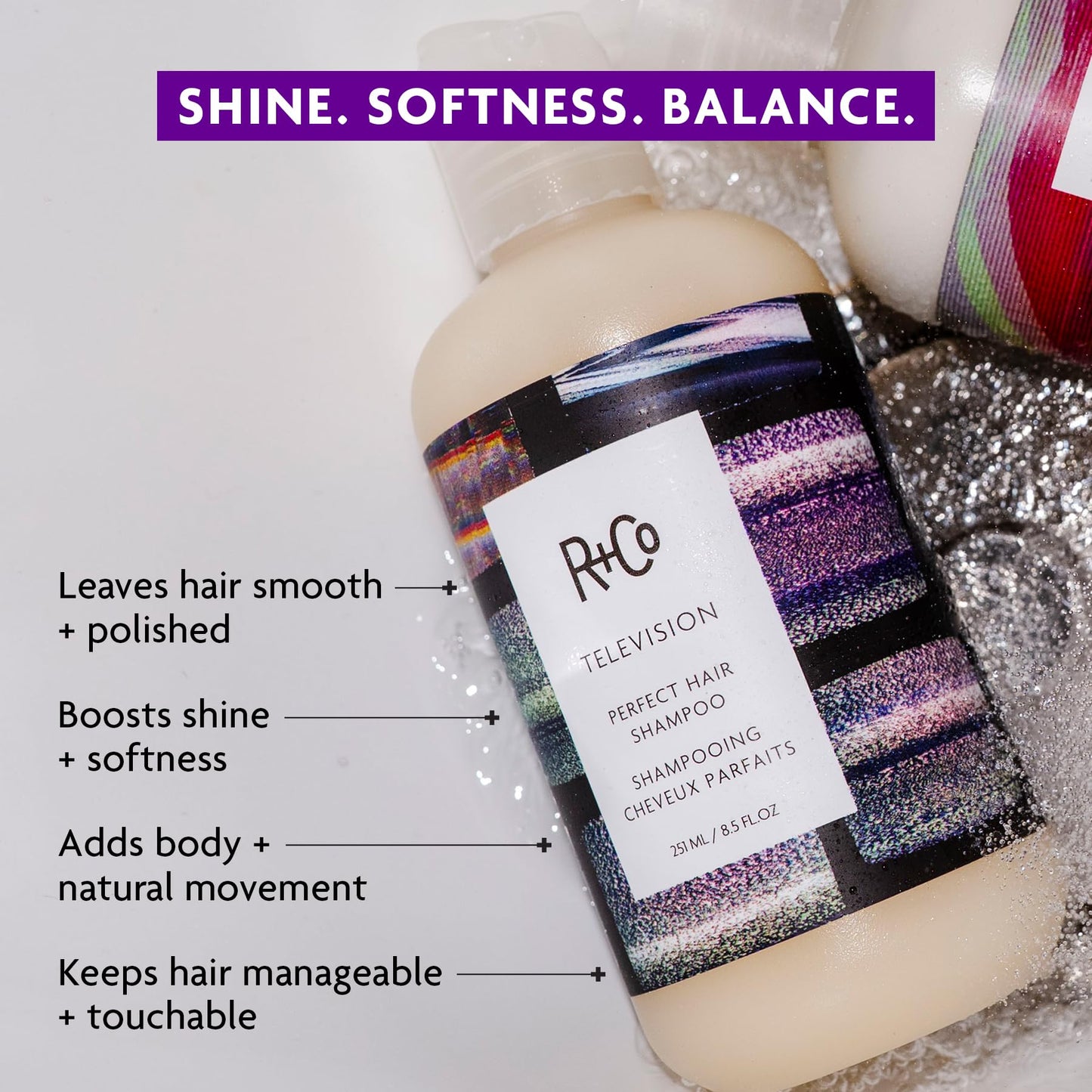 R+Co Television Perfect Hair Shampoo | Body + Shine + Smoothing for All Hair Types | Vegan + Cruelty-Free |