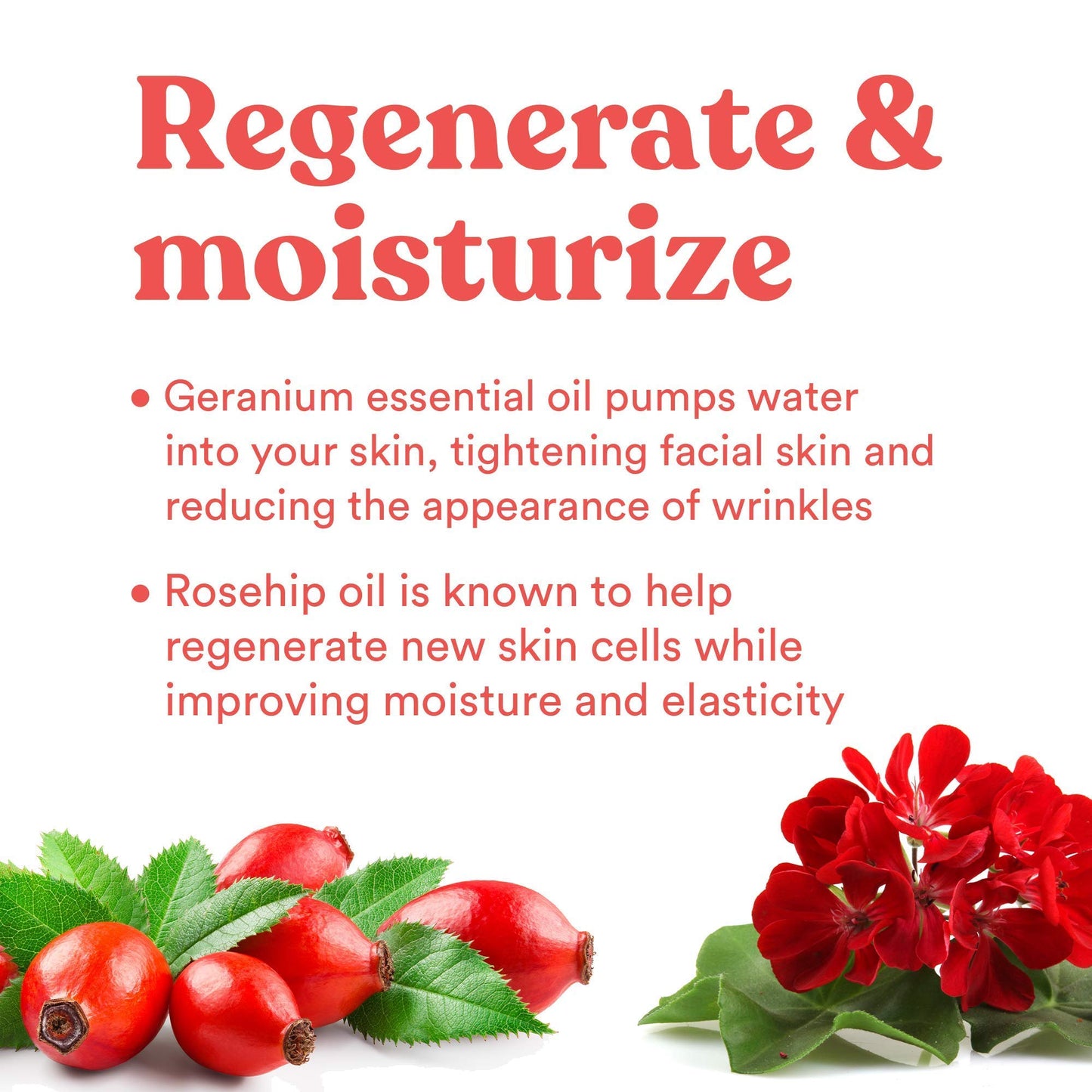 ASUTRA Restore Face Oil, 1 fl oz - Geranium & Rosehip (1 Fl Oz)