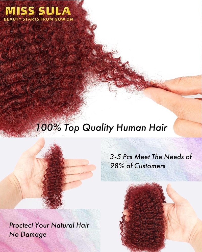 Afro Kinkys Bulk Human Hair Extensions,Kinky-Curly Real Human Hair for Dreadlocks/Locs Repair, Twist & Braid, Crochet Human Braiding Hair Bundles, Natural Burgundy, 10 Inches 2 Packs,99J#
