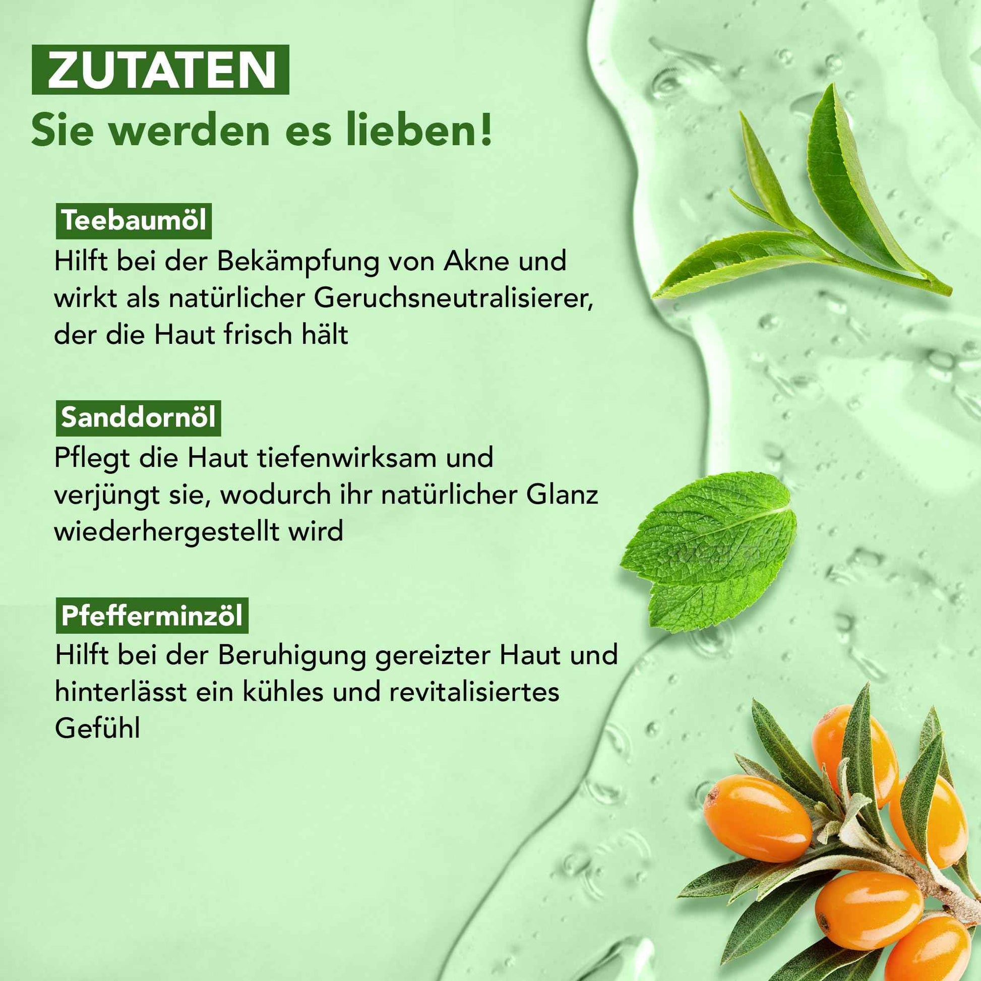 Botanic Hearth Tea Tree Body Wash (Pack of 2) for Men and Women - Moisturizing Body Wash Helps Soothe the Skin - Refreshing and Hydrating Cleanser, Sulfate Free, Paraben Free - 16.9 Fl Oz each