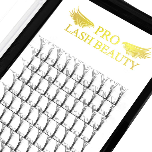 6D-D-0.07-18 Long Stem Premade Fans Eyelash Extensions Volume Lash Extensions.07.10 C D Curl Pre made Lash Fans(6D-D-0.07,18 mm)