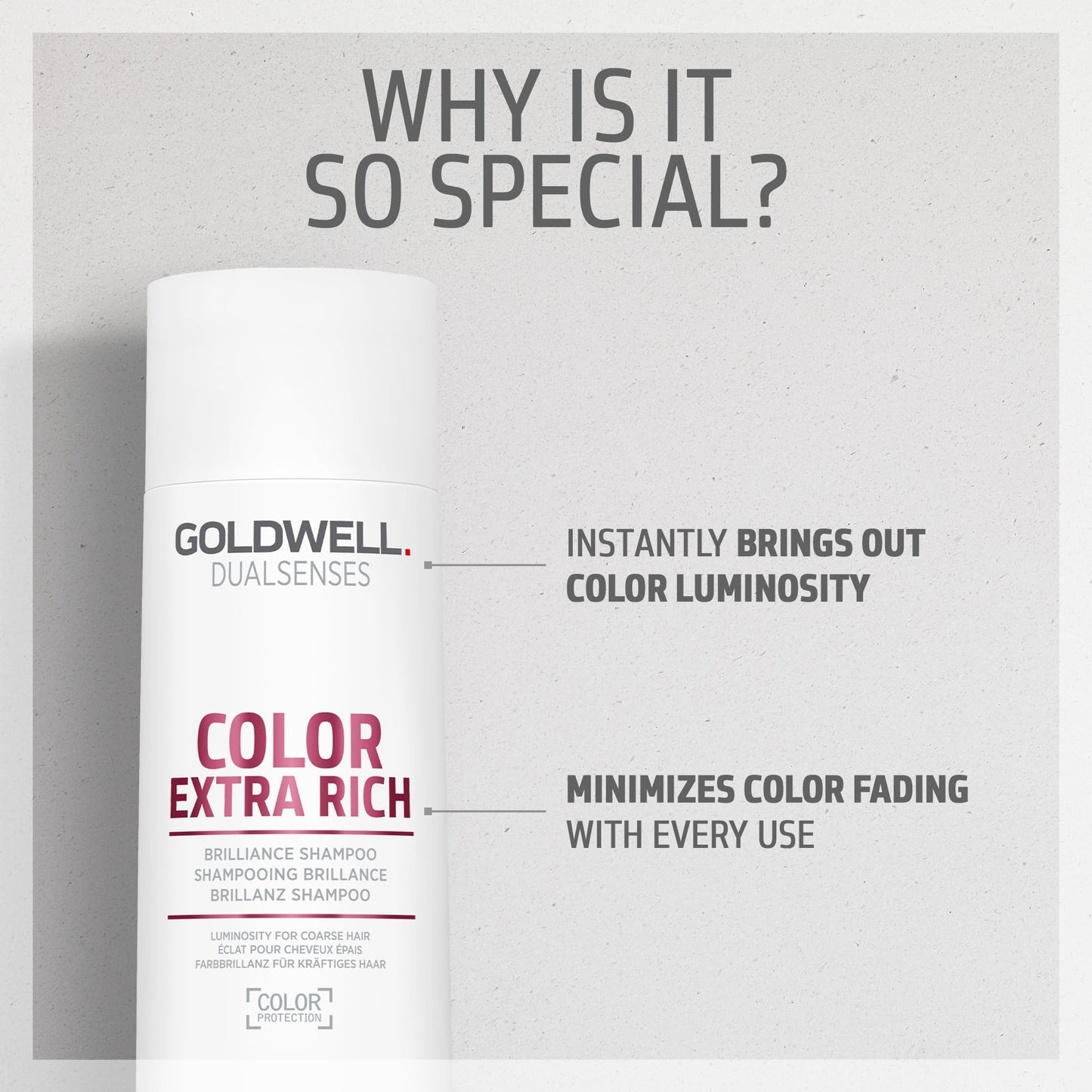 Goldwell Dualsenses Color Extra Rich Brilliance Shampoo, 10.1 Fl Oz (Pack of 1)