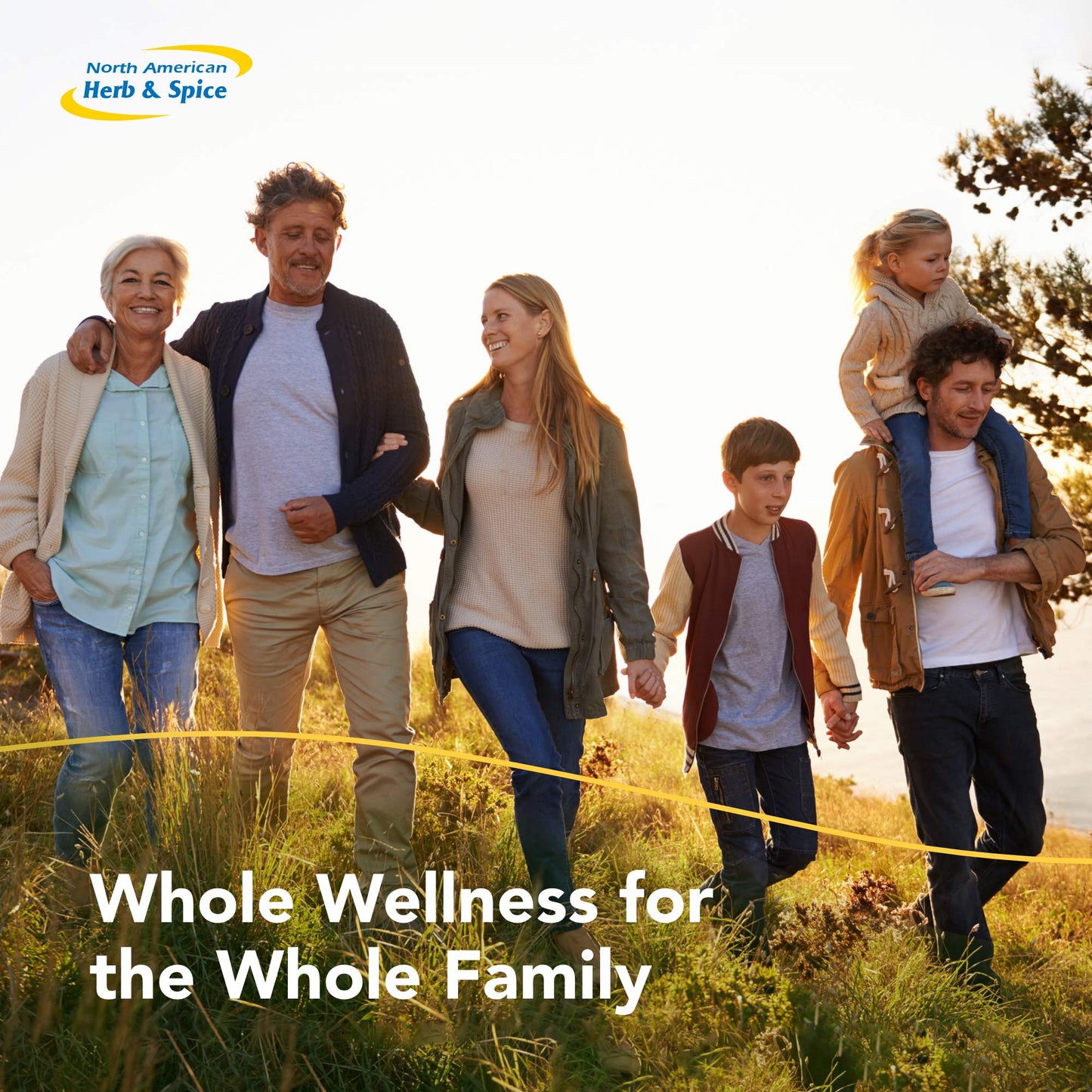 NORTH AMERICAN HERB & SPICE EssentiaClenz Waterless Soap - 8 fl oz - Cleans Wet & Dry Hands - With Essential Oils