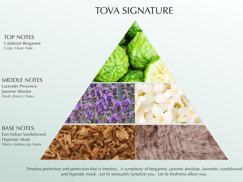 Tova Signature Solid Perfume Compact – Fresh Floral Pocket Perfume Dab-On for Women – Bergamot Jasmine Musk – USA-Made & Cruelty-Free – 2.4 g