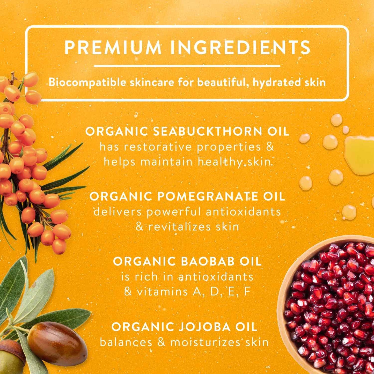 Badger Seabuckthorn Face Oil, Organic Face Moisturizer for Women & Men, Nourishing & Soothing Organic Jojoba, Baobab & Vitamin E Oil, Vegan Antioxidant Rich Facial Oil, 1 fl oz Glass Bottle