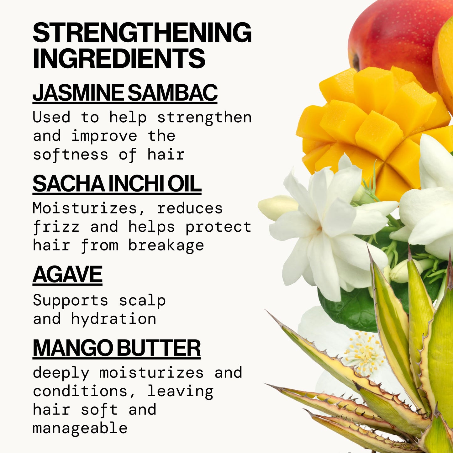 Pacifica Jasmine Agave Strength & Shine Conditioner – Repair Treatment for Dry, Damaged & Bleached Hair, Strengthens & Restores Shine, Clean Beauty, Vegan Cruelty-Free Dermatologist Tested