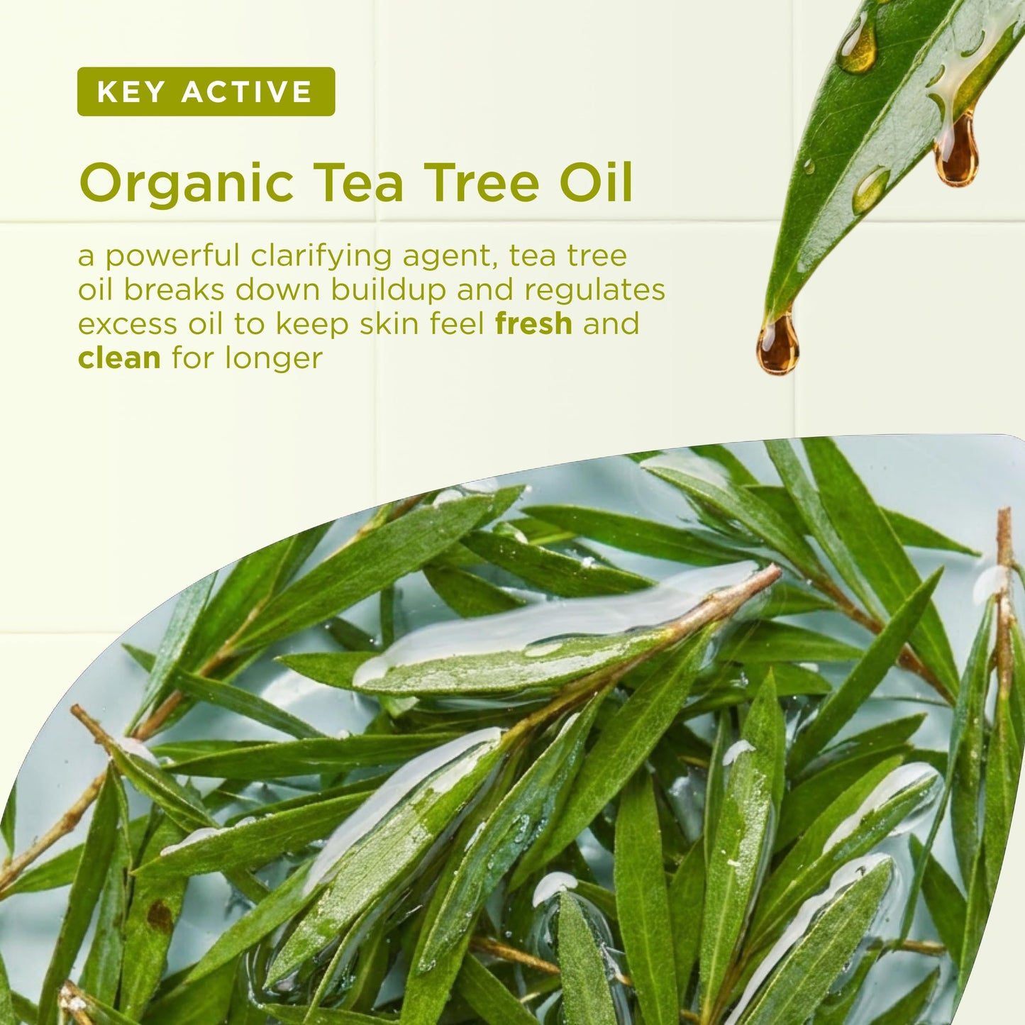 Organic Doctor Tea Tree Face Wash, 6.8 Fluid Ounce