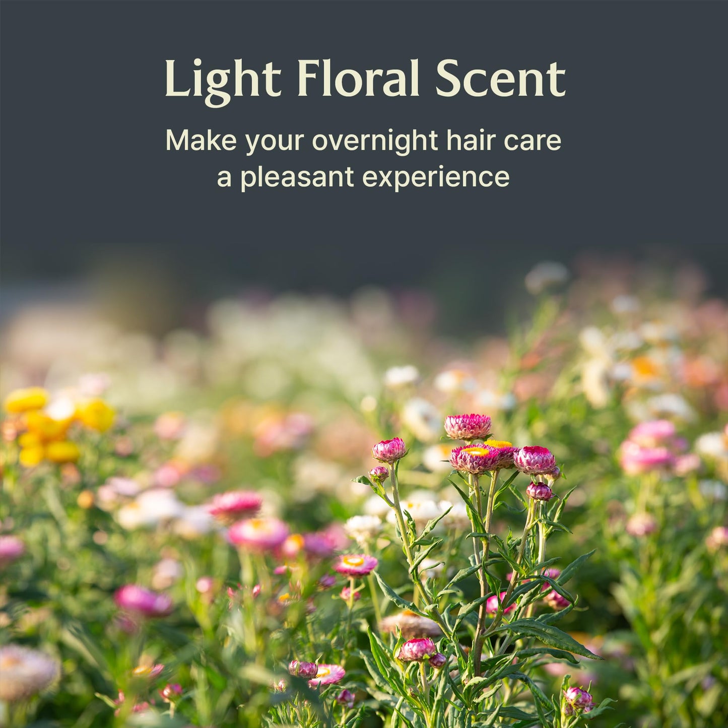 LA'DOR Snail Sleeping Hair Serum Ampoule