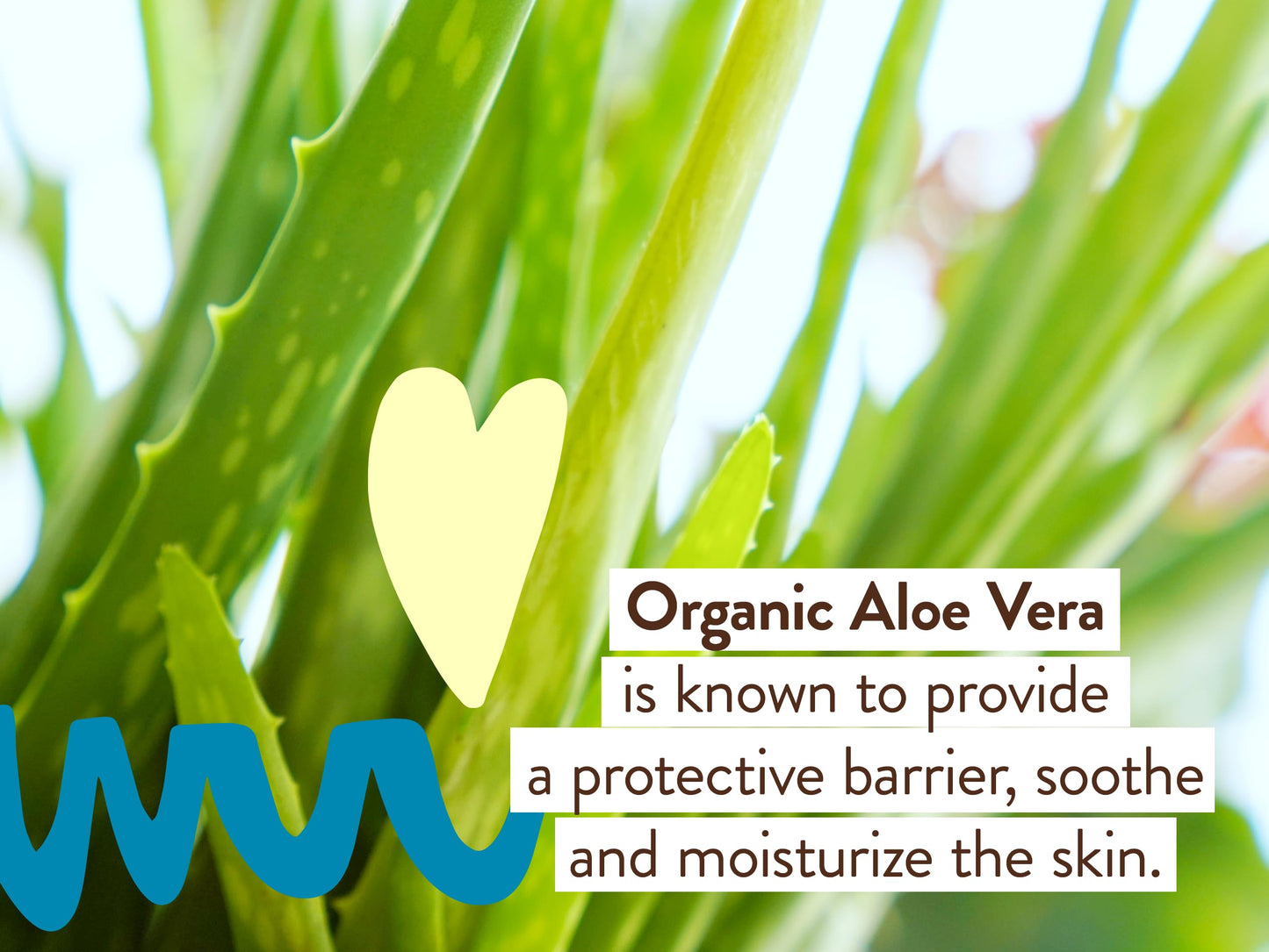 Babo Botanicals Daily Sheer Mineral for Face Sunscreen Lotion SPF40 - Natural Origin Zinc Oxide & Titanium Dioxide - 70% Organic Ingredients - Raspberry Oil & Aloe Vera - Fragrance Free - For all ages