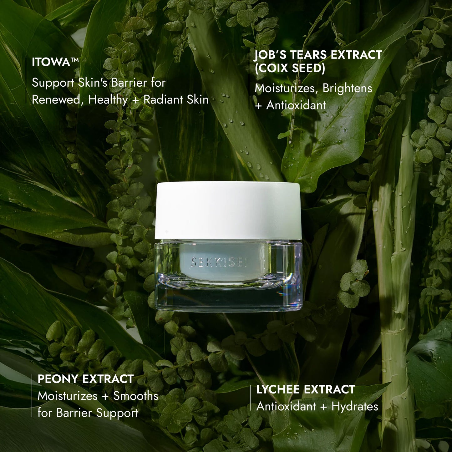 SEKKISEI CLEAR WELLNESS Water Shield Cream REFILL, Facial Moisturizer for Sensitive Skin, 1.4 Ounce