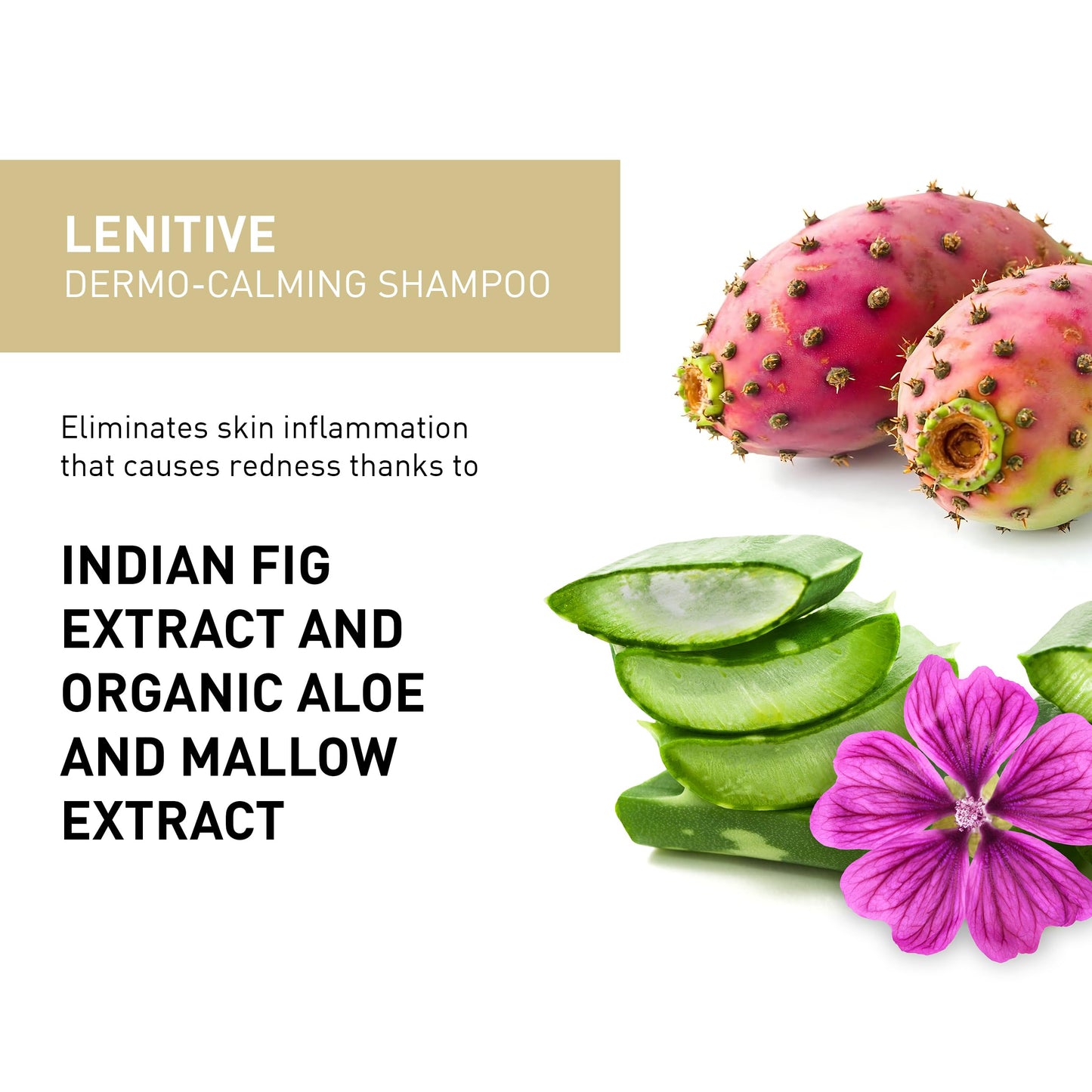 INSIGHT Lenitive Dermo-Calming Shampoo 13.5 oz