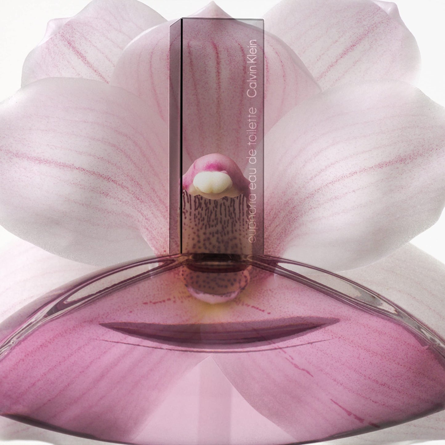 Calvin Klein Euphoria Eau de Toilette – Women's Ambery Perfume – With Notes of Pink Pepper, Radiant Orchid & Vanilla Accord – Long Lasting Fragrance