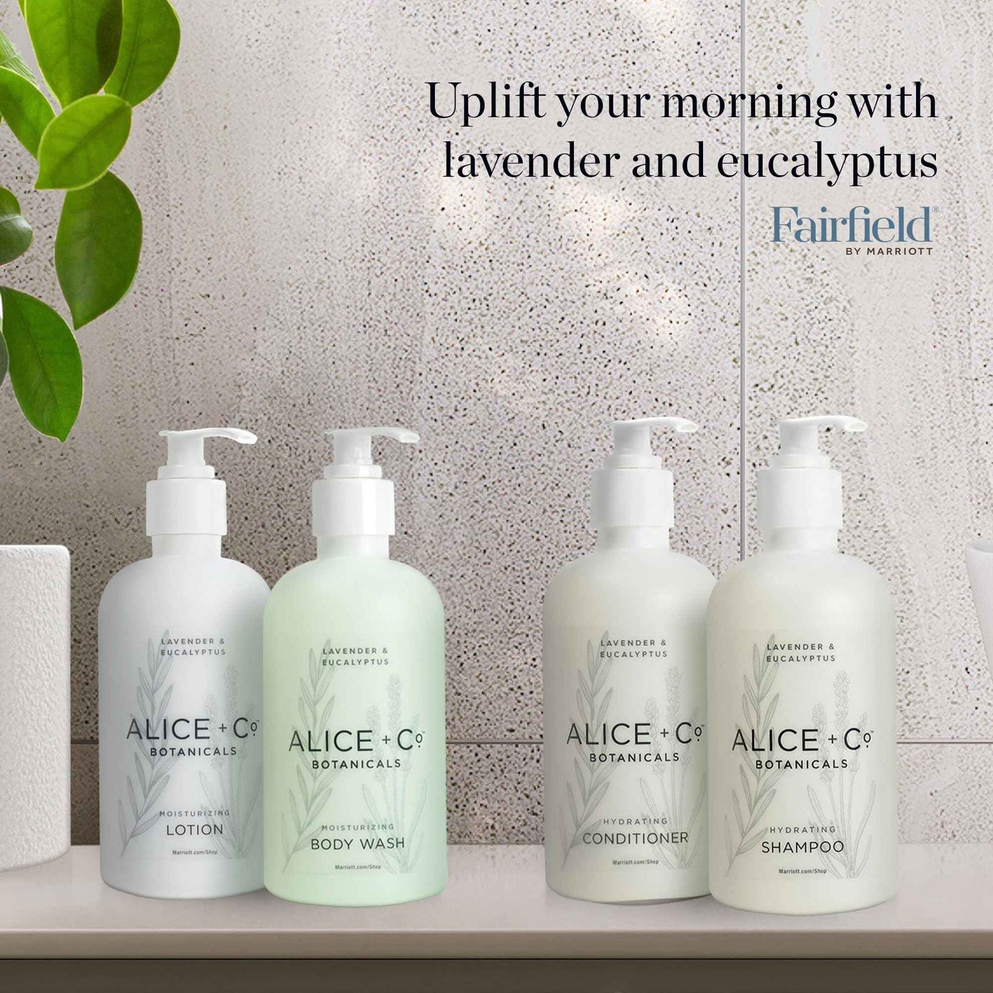 Alice + Co. Body Wash | Lavender & Eucalyptus | Hotel Bath Amenities | Fairfield by Marriott | 8.5 oz Body Wash