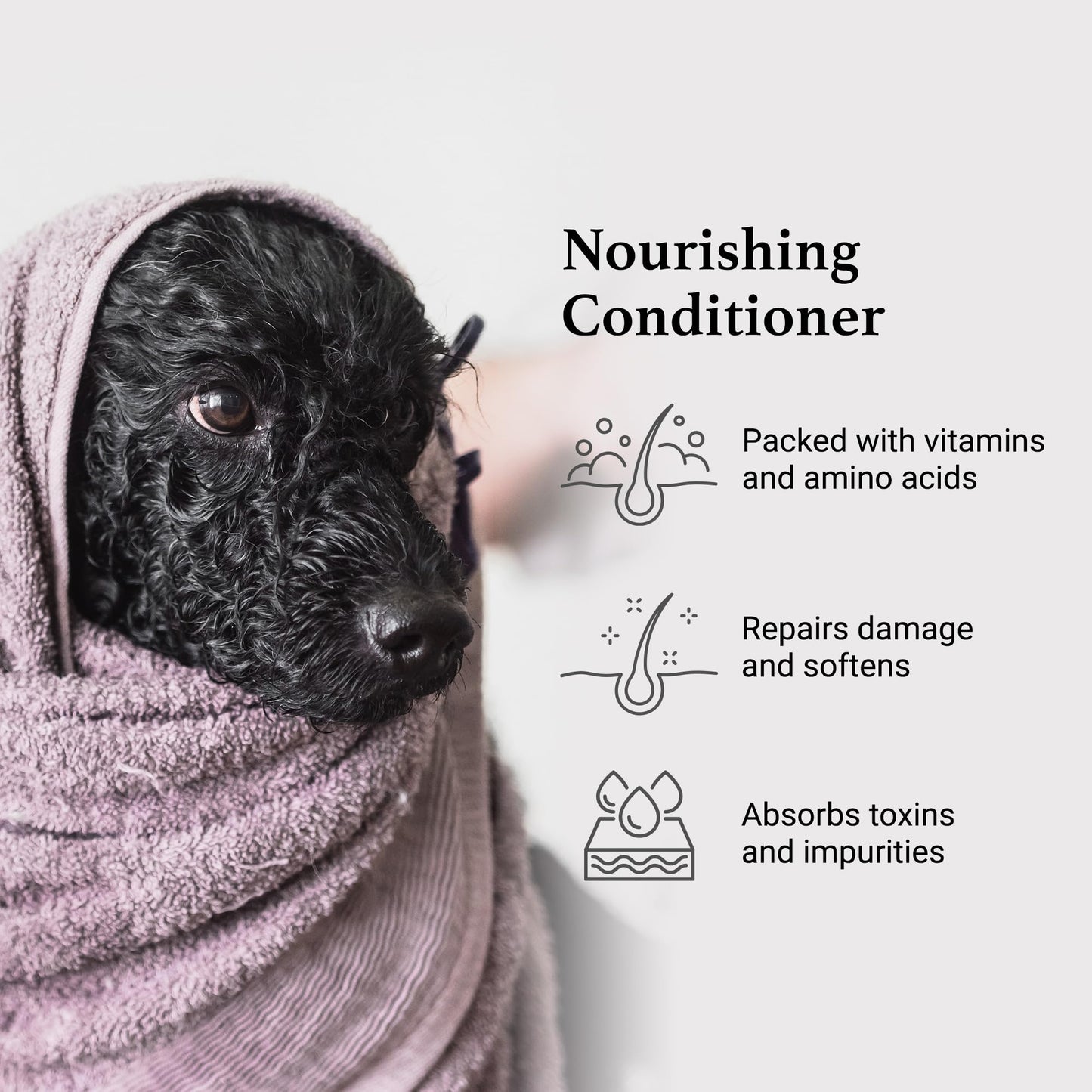 iGroom Charcoal Keratin Dog Conditioner, Luxury Pet Beauty Care, Repairs Enhances Adds Moisture, Made in USA, Summer Fig, 16oz