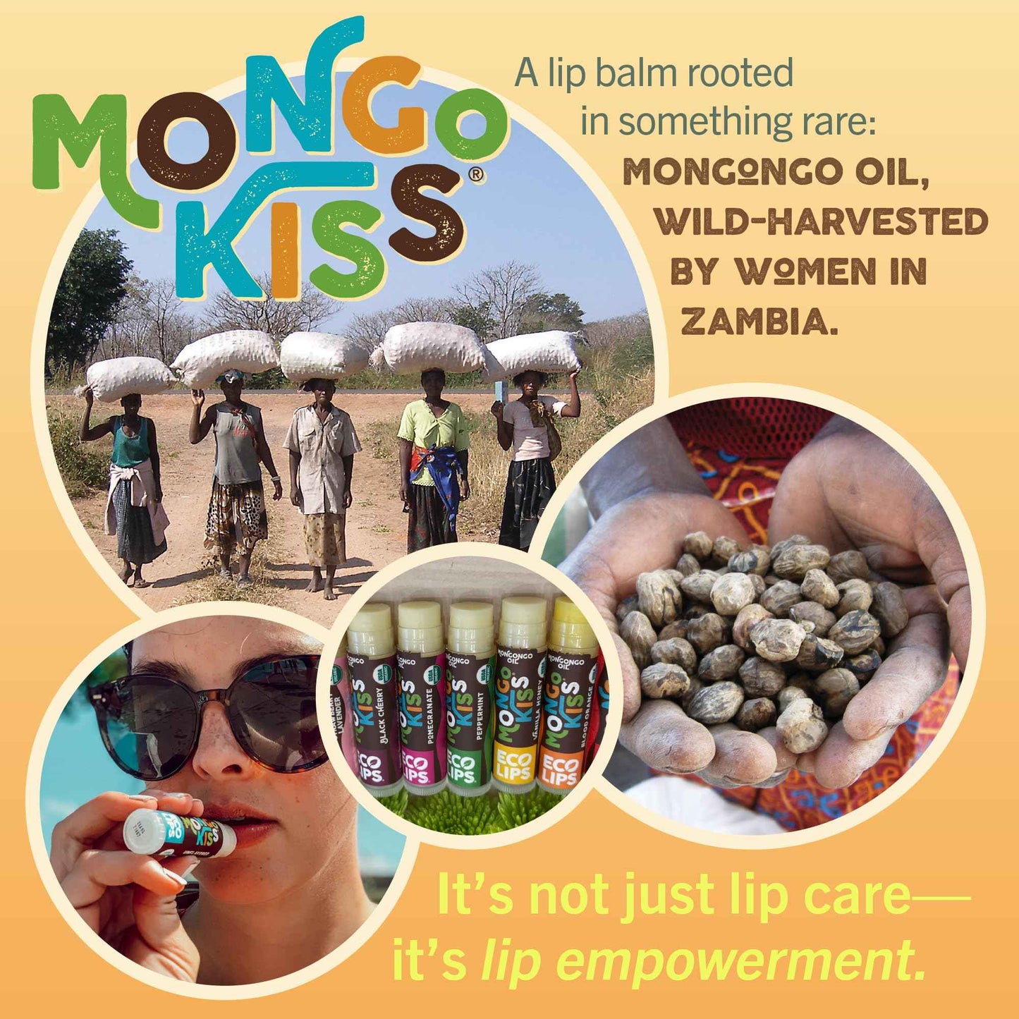 LIP BALM Mongo Kiss 6-Pack (6 tubes) by Eco Lips 100% Organic Beeswax & Cocoa Butter Lip Care with Organic Mongongo Oil - Soothe & Moisturize Dry & Cracked Lips - Made in USA. (Peppermint)