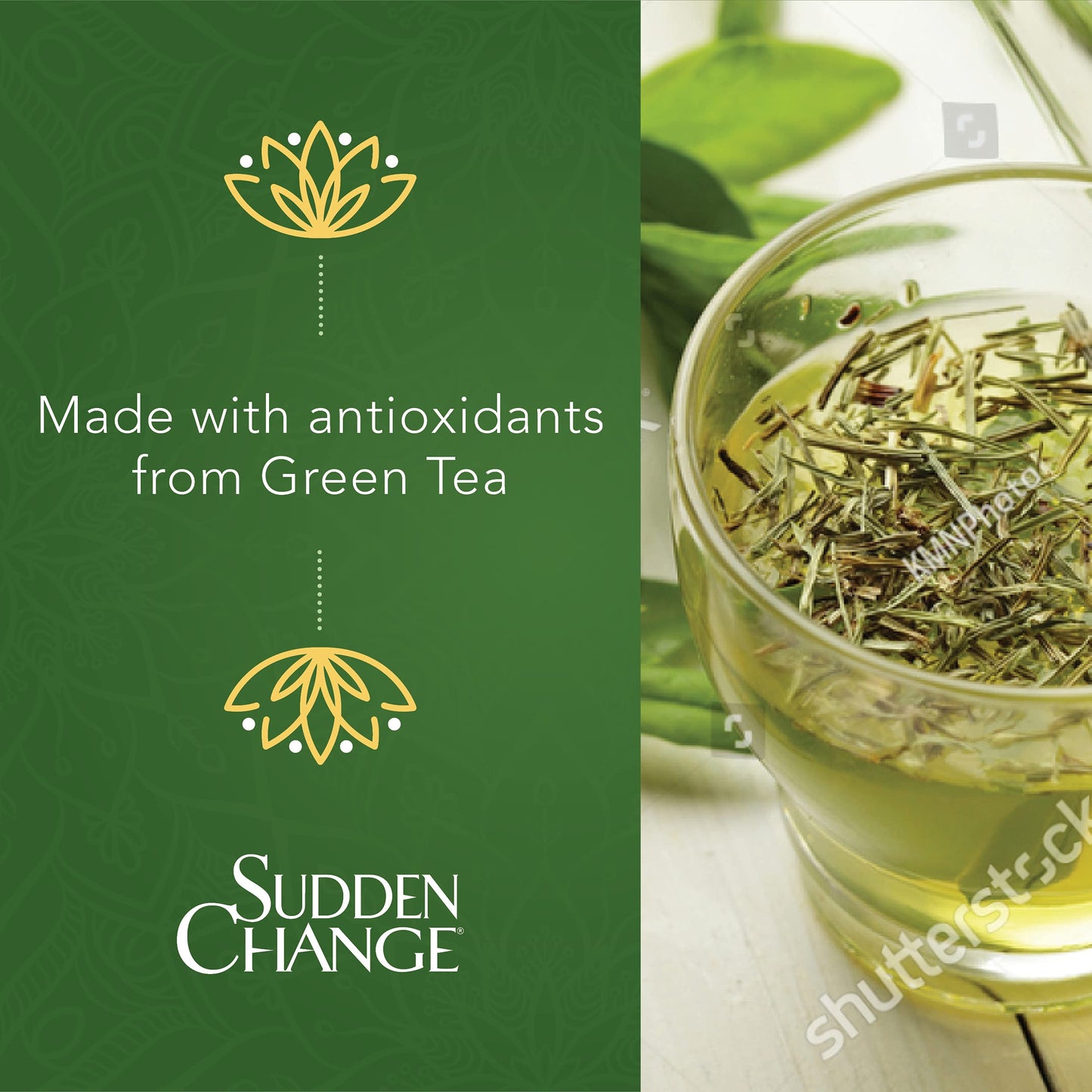 Sudden Change Green Tea Facial Mask 3.4oz (3 Pack)