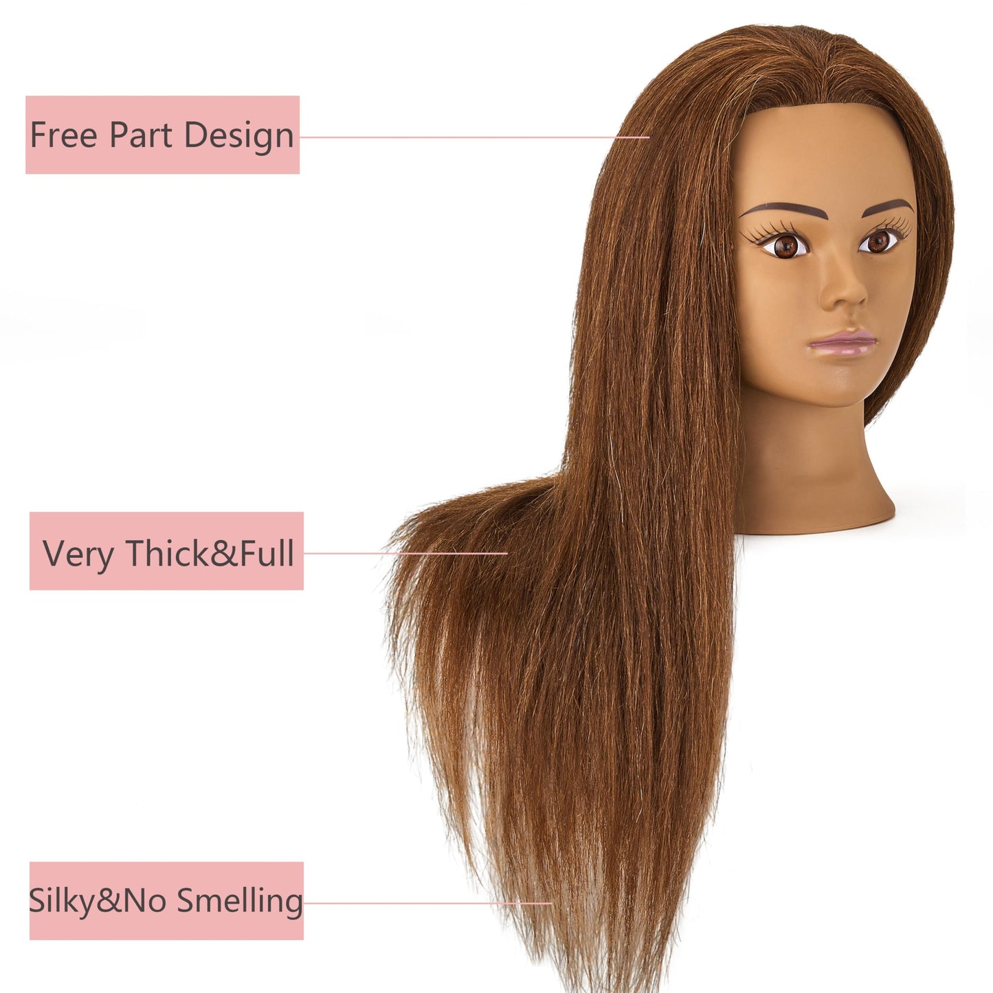 SZCY LLC 100% Human Hair Mannequin Head Hair Styling Training Head Cosmetology Manikin Head Doll Head for Hairdresser with Clamp Holder