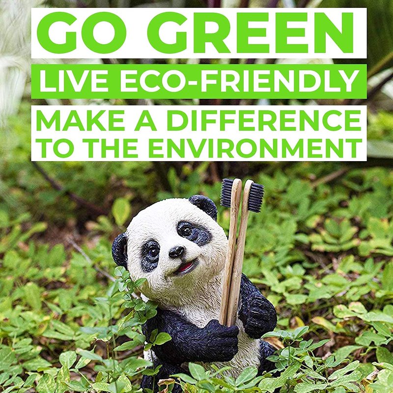 EveEco 48 Count (4 Boxes of 12) Bamboo Toothbrush I Soft Bristles Best for Sensitive Gums I Charcoal I Vegan I Natural Wood I BPA Fee I Recyclable I Compostable I Biodegradable