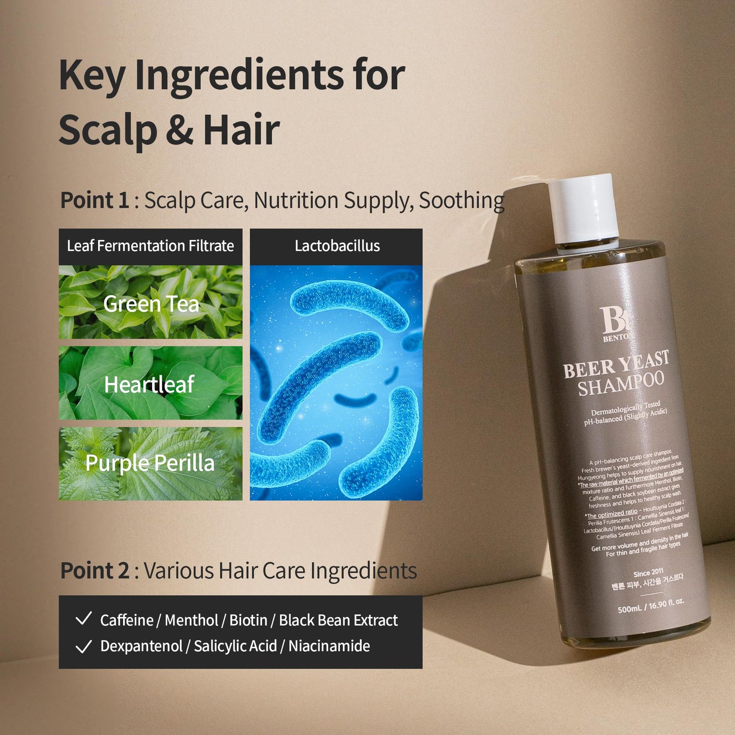 BENTON Beer Yeast Shampoo, Hair Loss Relief Biotin Shampoo for Thinning Hair – Volumizing, Regrowth Therapy, Scalp Calming – Paraben, Sulphate Free - 16.0 fl.oz.
