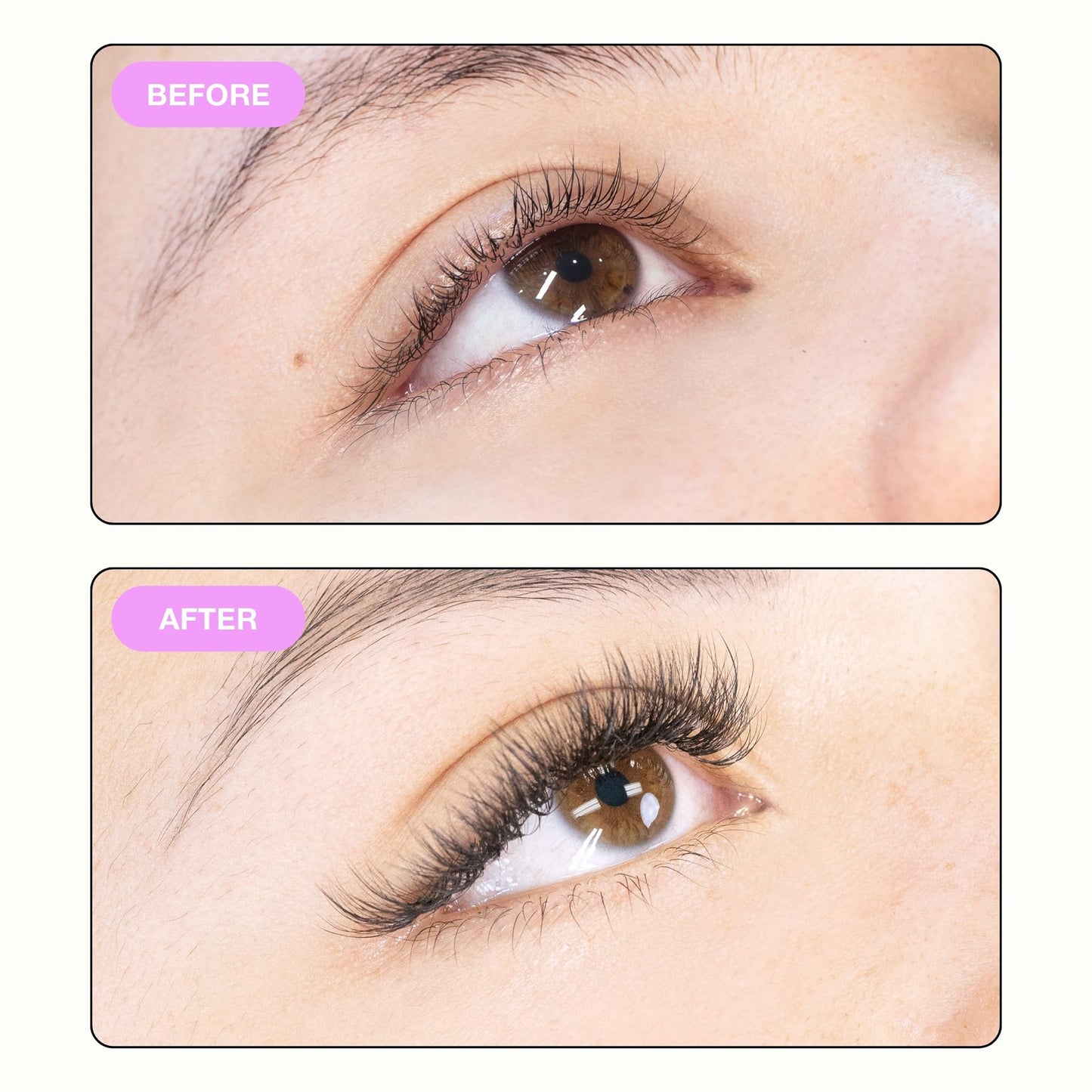 Curacoro Fairy Volume Lash Extensions 3D - 0.7mm Thickness D Curl 8mm-15mm Length, Premium Matte Black Individual Eyelashes Tray, Professional Supplies Use
