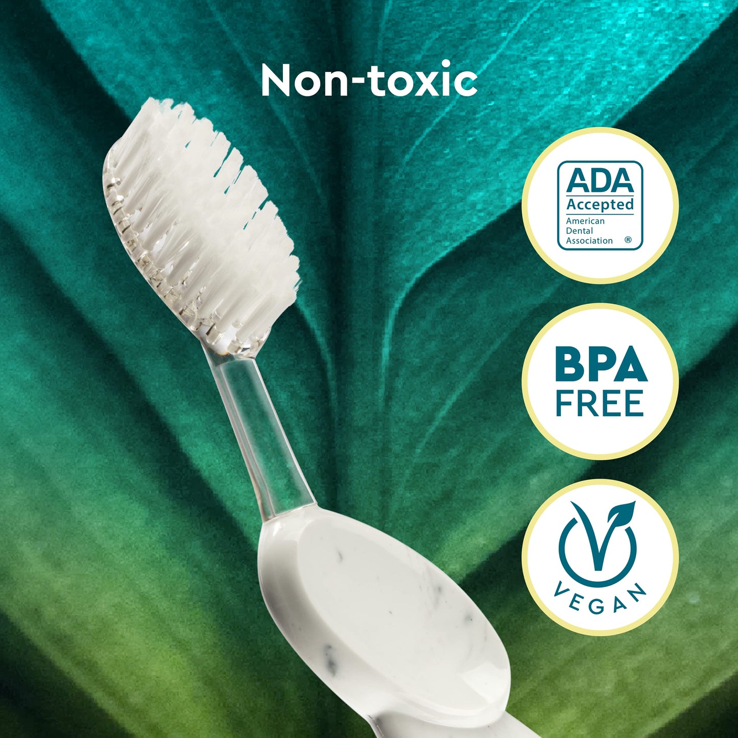 RADIUS Big Brush with Replaceable Head BPA Free & ADA Accepted Toothbrush Designed to Improve Gum Health & Reduce Gum Issues - Left Hand - Purple/Sea Shell/Midnight Sky - Pack of 3