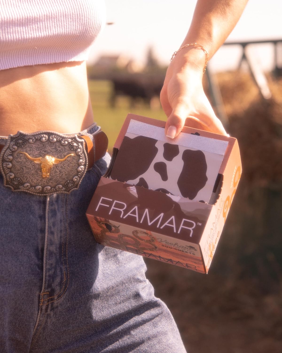 FRAMAR Hair Foils for Highlighting | Curly Hair Detangler Brush - Professional Quality