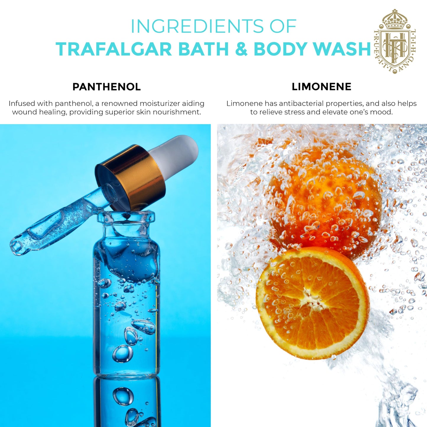 Truefitt & Hill Trafalgar Bath and Shower Gel, 6.7 Ounce