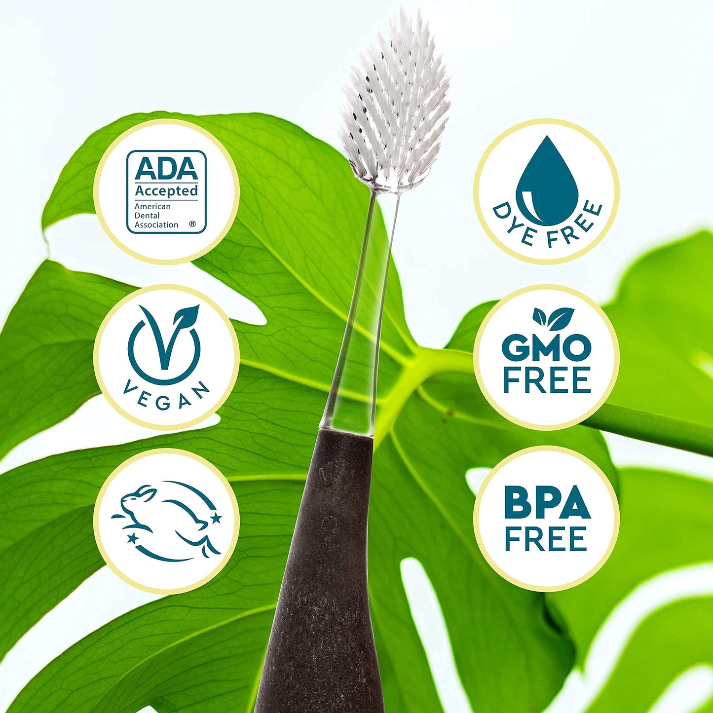 RADIUS Toothbrush Source Floss Brush BPA Free & ADA Accepted Improve Gum Health & Reduce Gum Issues - Soft - Cornstarch/Hemp/Money - Pack of 3