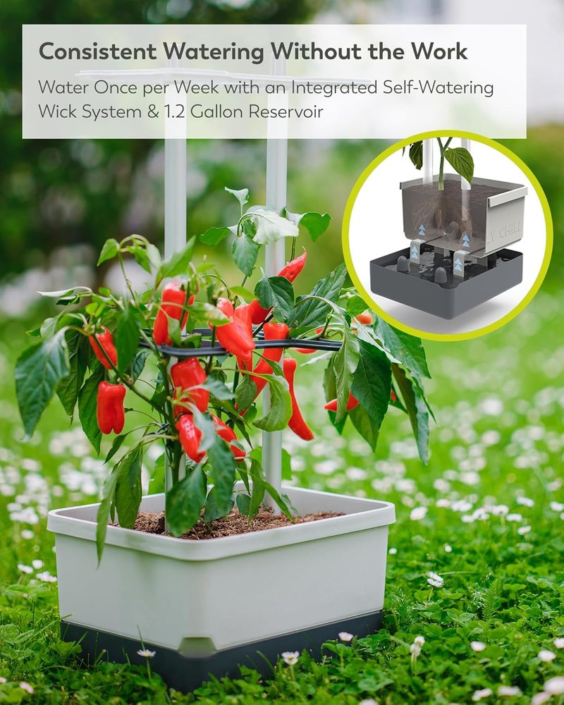Charly Chili Self-Watering Planter with Vertical Trellis | 1.2 Gal Capacity for Peppers & Eggplants - Grey