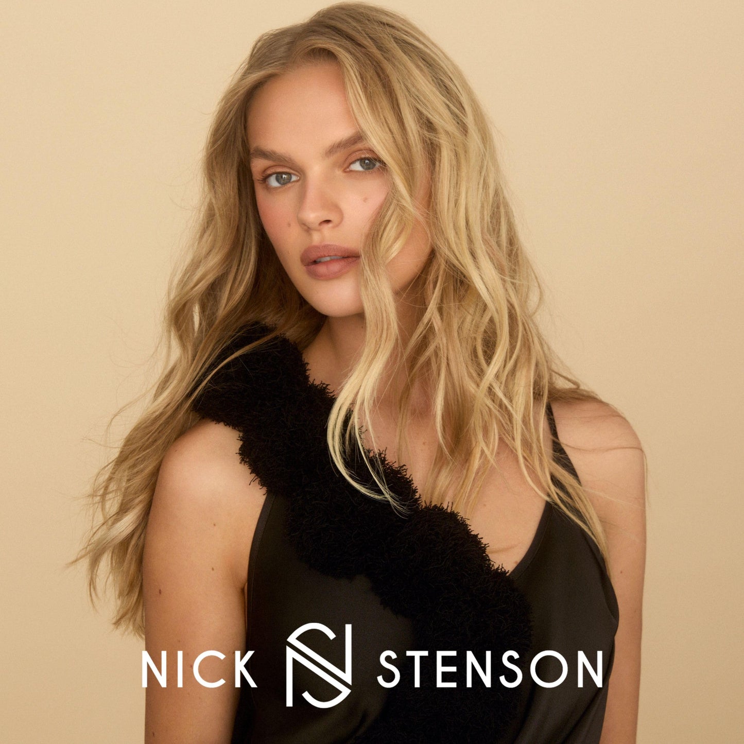 Nick Stenson Leave-In Conditioner, Hydrating Leave-In for Color-Treated & Highlighted Hair - Adds Shine, Smoothness & Provides Strength & Manageability - Color-Safe Vegan - 6 oz