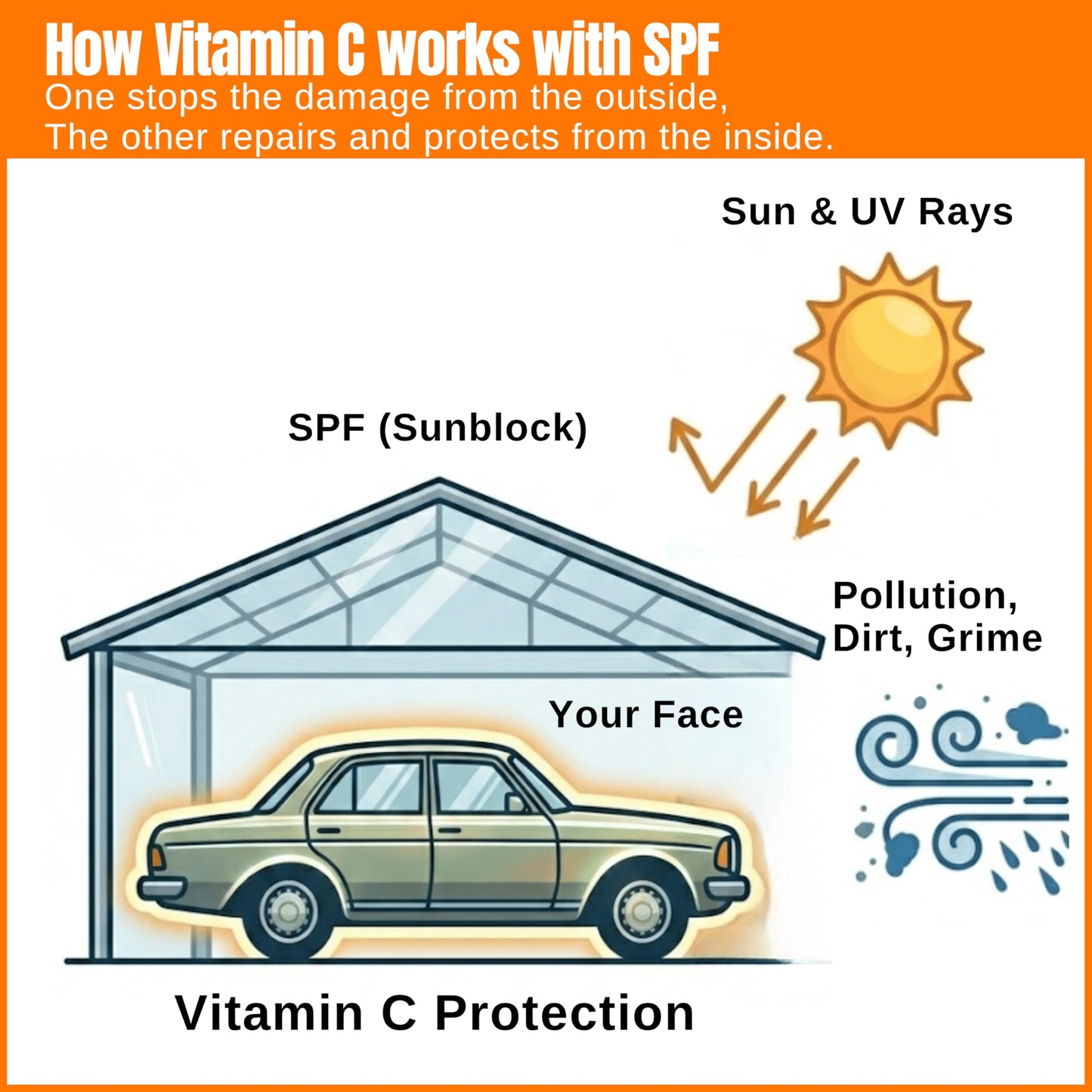Setú® PROTÉGETE | Vitamin C Serum | Dermatologist-Developed with Camu Camu & Sarsaparilla | Helps Brighten & Even Skin Tone | Fast-Absorbing Antioxidant Serum | | All Skin Types | 1 fl. oz