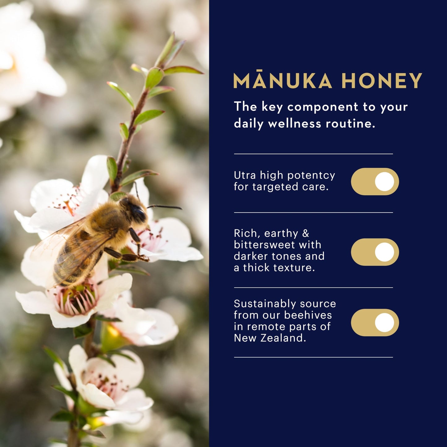 Manuka Health Manuka Honey Lozenges – 15 Lemon and Ginger Flavored Lozenges – Natural Throat Lozenges Infused with Raw Manuka Honey and Vitamin C for Immune Support