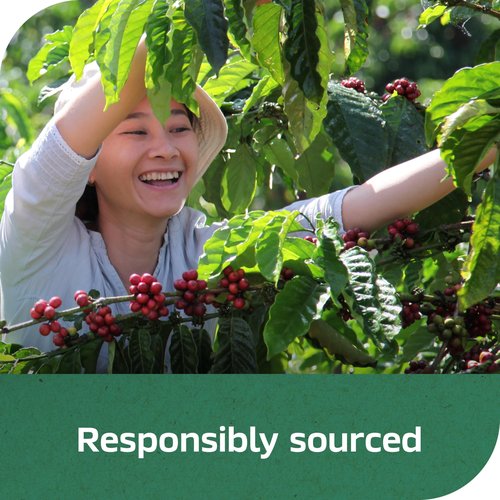 Nescafe Clasico Decaf, 7 Ounce Jar