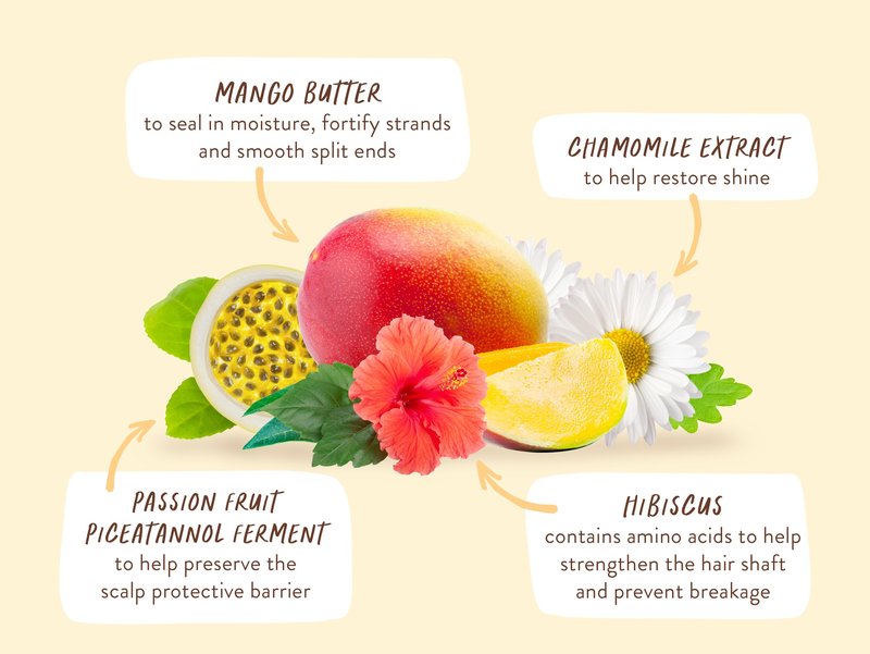 Babo Botanicals Nourishing Mango & Hibiscus Shampoo - For Dry, Damaged, Color-Treated Hair – Moisturize & Soften - Passion Fruit Ferment for scalp - Water-Resistant Carton w. 80% Less Plastic – Vegan